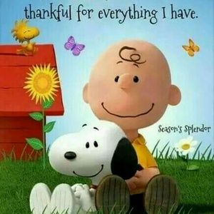 Meet your Posher, Vickie